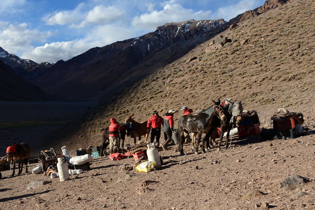19 Muleteers Unload Mules At Sunset At Casa de Piedra On The Trek To Aconcagua Plaza Argentina Base Camp
